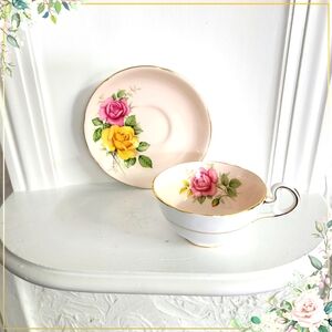 Royal Grafton 1950s Pink and Yellow Roses with blue shade Teacup & saucer